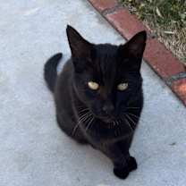 Thumbnail photo of Humphrey #2