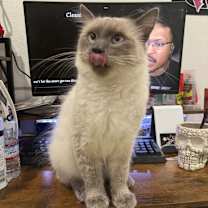 Thumbnail photo of Choso #1