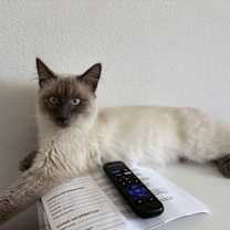 Thumbnail photo of Choso #3