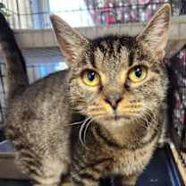 Thumbnail photo of Booberry #1