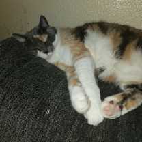 Thumbnail photo of Zoe #1