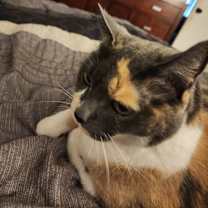 Thumbnail photo of Zoe #2