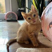 Thumbnail photo of Max #1