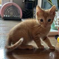 Thumbnail photo of Max #2