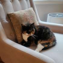 Thumbnail photo of Marbles #2