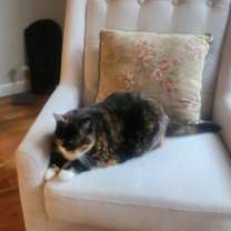 Thumbnail photo of Marbles #4