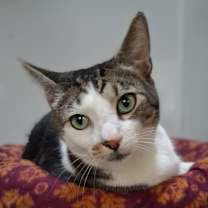 Thumbnail photo of Charles #2