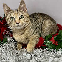 Thumbnail photo of Eight #1