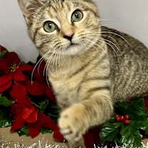 Thumbnail photo of Eight #2