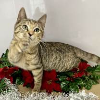 Thumbnail photo of Eight #3