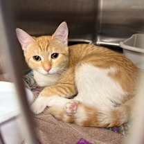 Thumbnail photo of Juniper #2