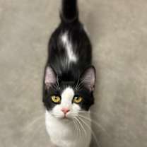 Thumbnail photo of Luna #2