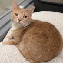 Thumbnail photo of Bonnie 2 #1