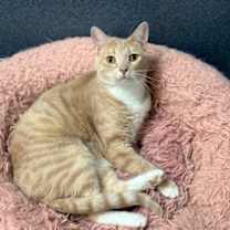 Thumbnail photo of Bonnie 2 #3