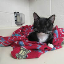 Thumbnail photo of Galindo #3