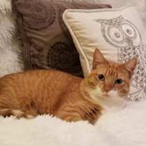 Thumbnail photo of Karla #1