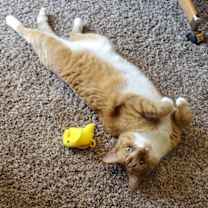 Thumbnail photo of Karla #2