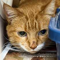 Thumbnail photo of Karla #3