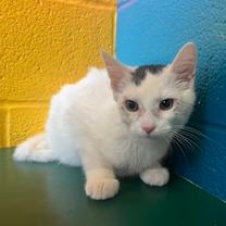 Thumbnail photo of Max #1