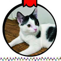 Thumbnail photo of Steffie #2