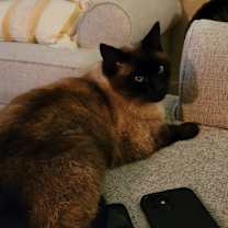 Thumbnail photo of Bobbles #2