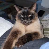 Thumbnail photo of Bobbles #3