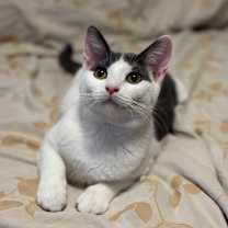 Thumbnail photo of Lou #1