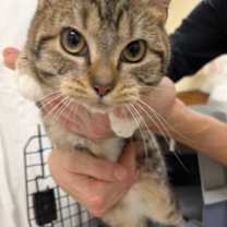 Thumbnail photo of Anastasia #2