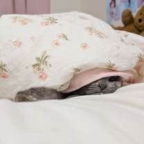 Thumbnail photo of Burton 9 #3