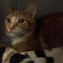 Thumbnail photo of Jack #1