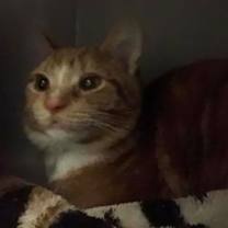 Thumbnail photo of Jack #2