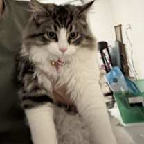 Thumbnail photo of Lucy #1