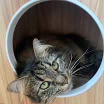 Thumbnail photo of Svietlana #1