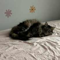 Thumbnail photo of Svietlana #2