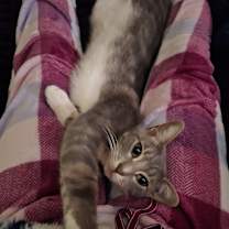 Thumbnail photo of Wilfred #1