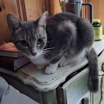 Thumbnail photo of Wilfred #3