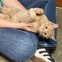 Thumbnail photo of Beep #1