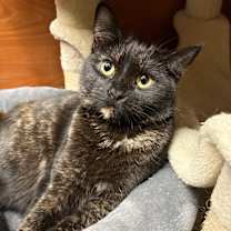 Thumbnail photo of Mack #1