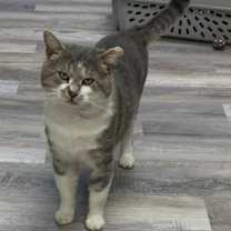 Thumbnail photo of Hank Penn #2