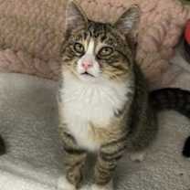 Thumbnail photo of The Ol' Razzle Dazzle #1