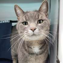 Thumbnail photo of Wednesday #1