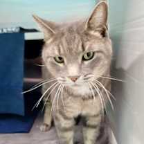 Thumbnail photo of Wednesday #2