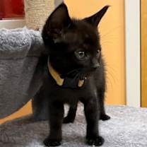 Thumbnail photo of Alexandria #2