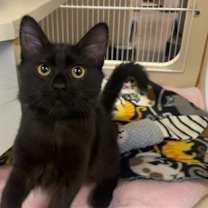 Thumbnail photo of Kloe #1