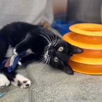 Thumbnail photo of Janet #1