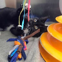 Thumbnail photo of Janet #2