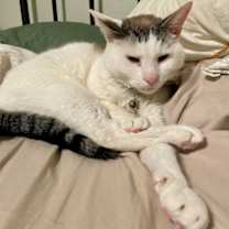 Thumbnail photo of Wilbur #2