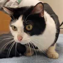 Thumbnail photo of Chloe-Anna #3