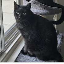 Thumbnail photo of Bubby #2