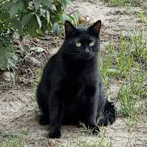 Thumbnail photo of Bubby #3